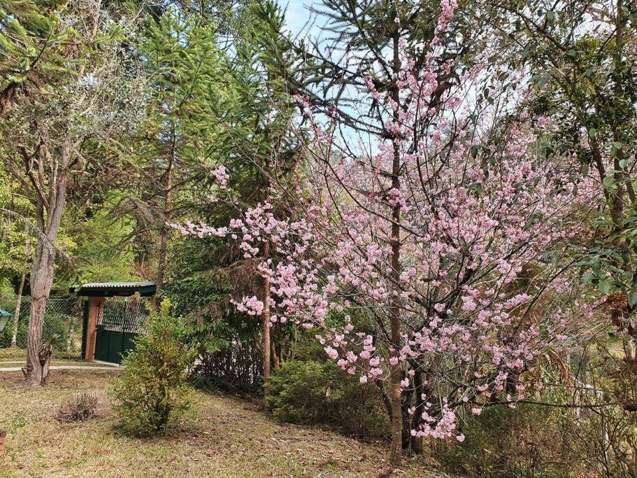 Willa Casa Da Nanna Campos Campos do Jordão Zewnętrze zdjęcie